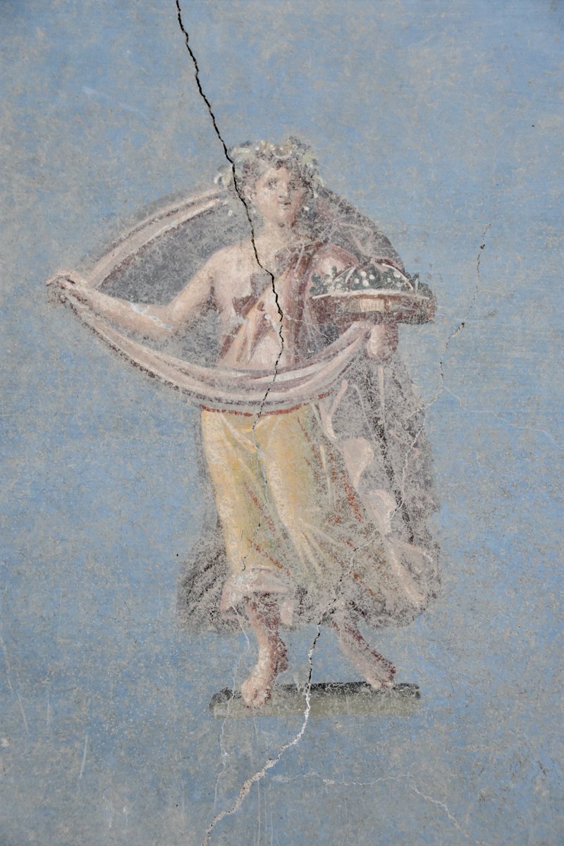 pompei79's tweet image. Blue is the new black (room) in #Pompeii.

pompeiisites.org/comunicati/pom…
@pompeii_sites