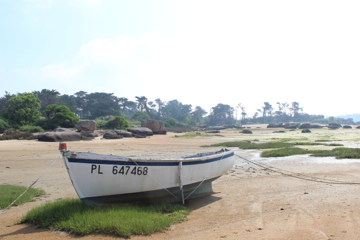 Aredius44's tweet photo. #Tregor #Bretagne https://t.co/KWJeDdnjsG