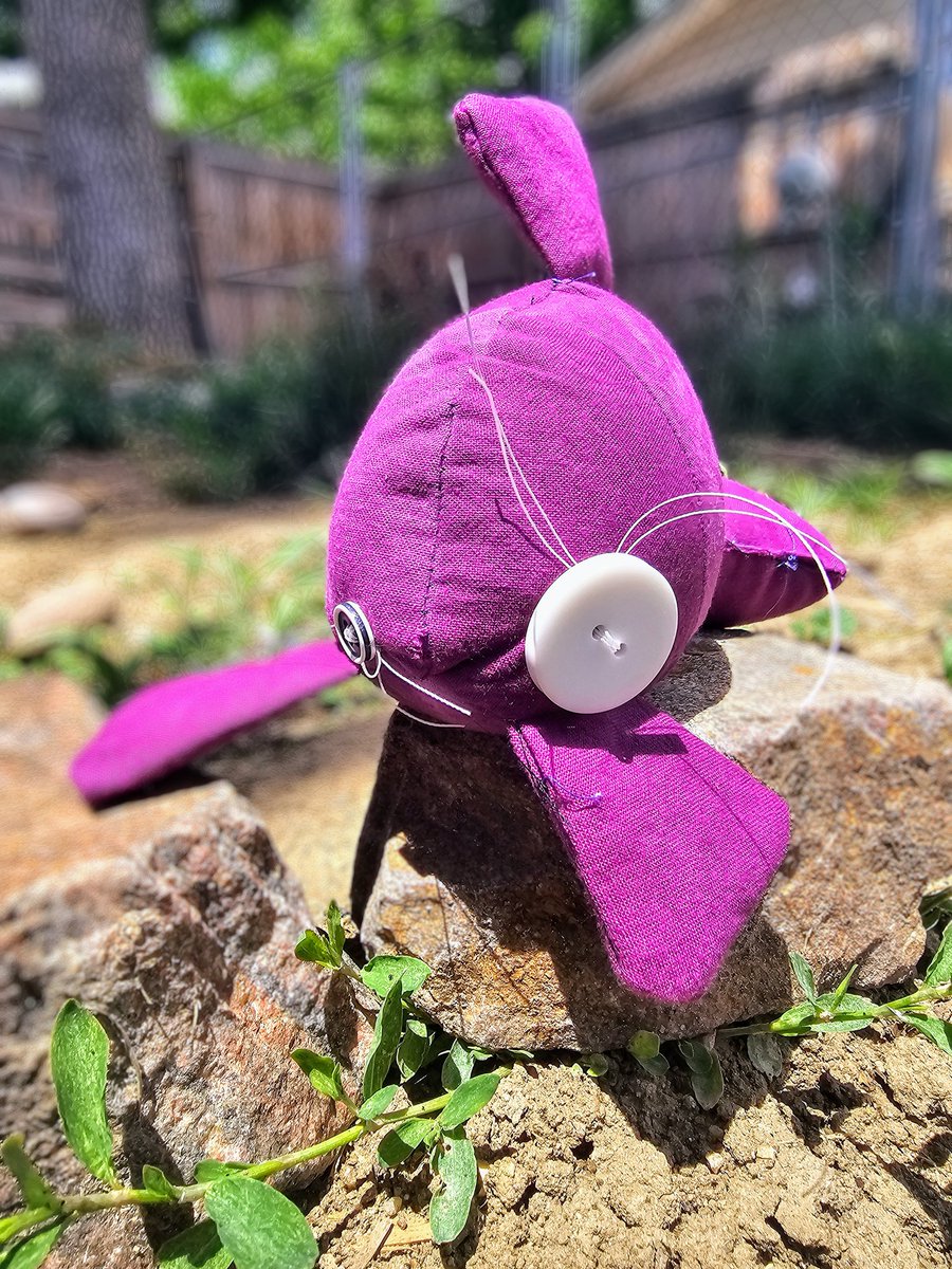 ClassyKatie tweet media