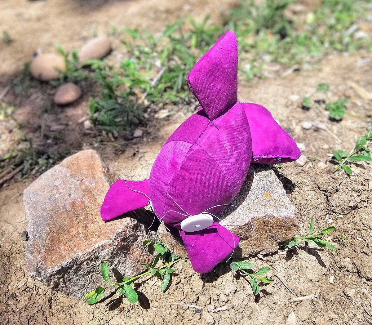 ClassyKatie tweet media