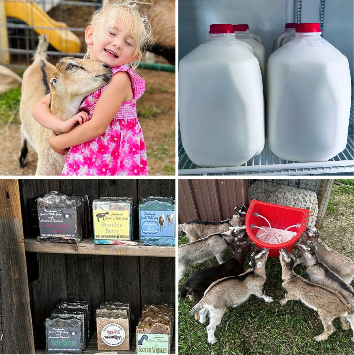 Farm-to-Consumer tweet media