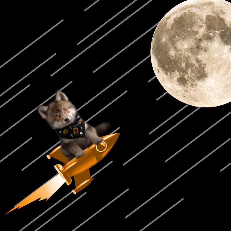 LOBO•THE•WOLF•PUP tweet media