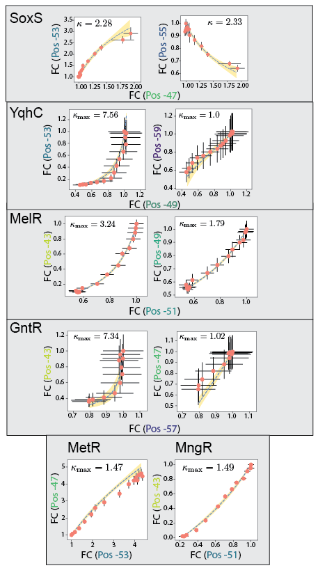 Brewster Lab tweet media