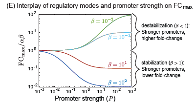 Brewster Lab tweet media