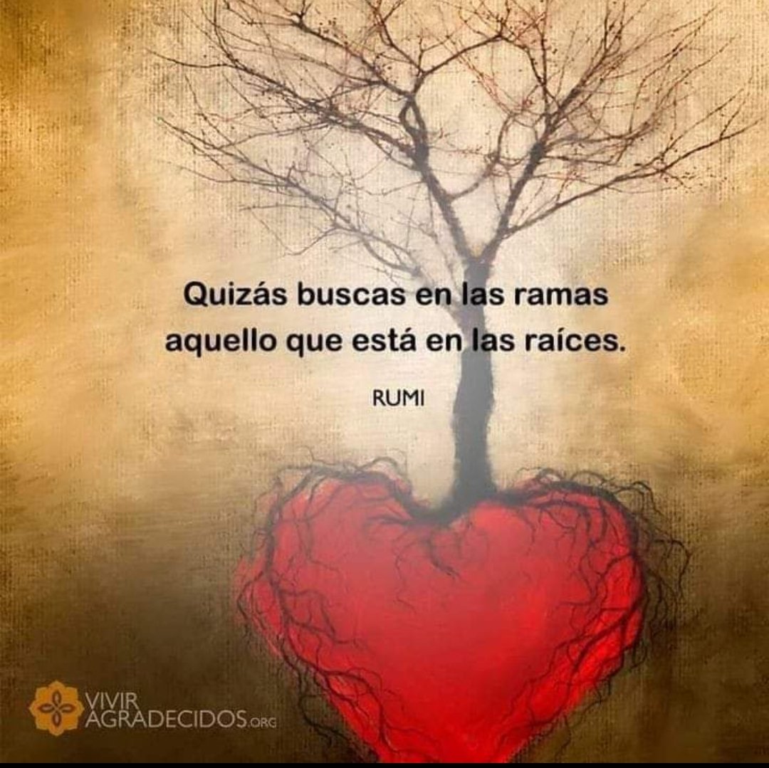 "Quizás buscas en las ramas aquello que está en las raíces" RUMI