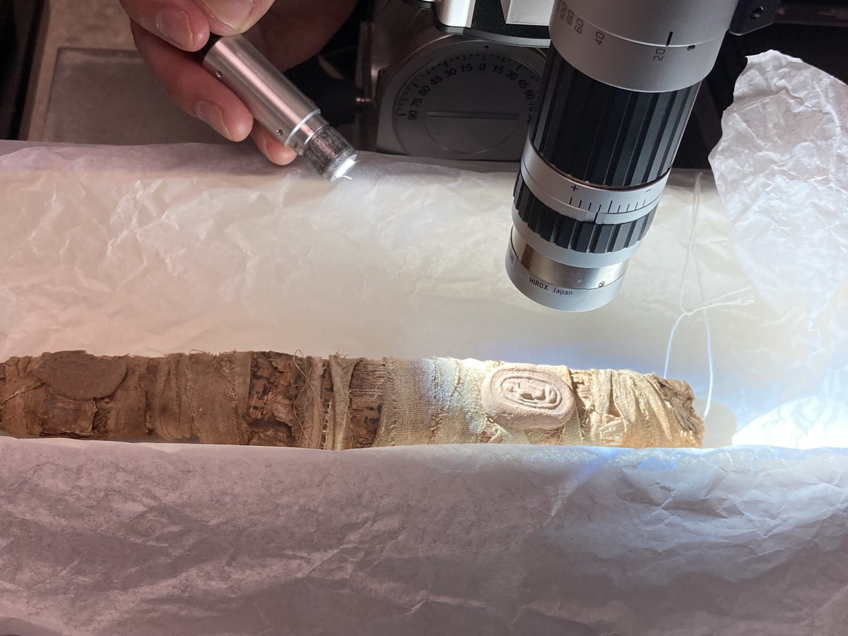 SmithsonianMCI tweet media