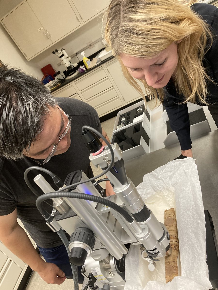 SmithsonianMCI tweet media