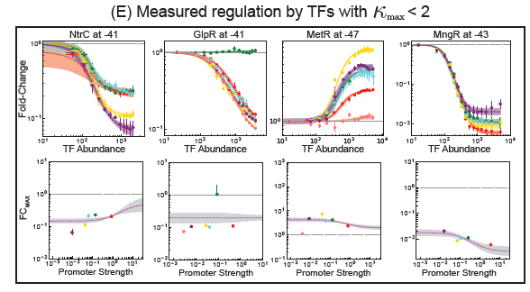 Brewster Lab tweet media