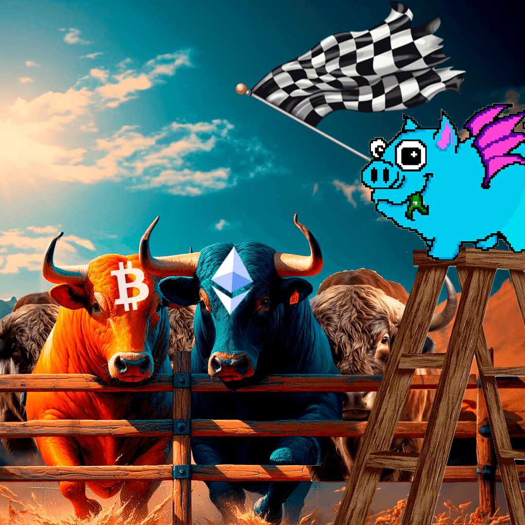 PouchBtc's tweet photo. who is ready to run? https://t.co/TyiA89kkQW