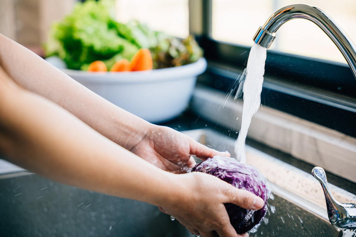 Remember as your are shopping at the store or your local farmers market this summer to always rinse fresh fruits and veggies under running water, even those with skins and rinds that are not eaten.