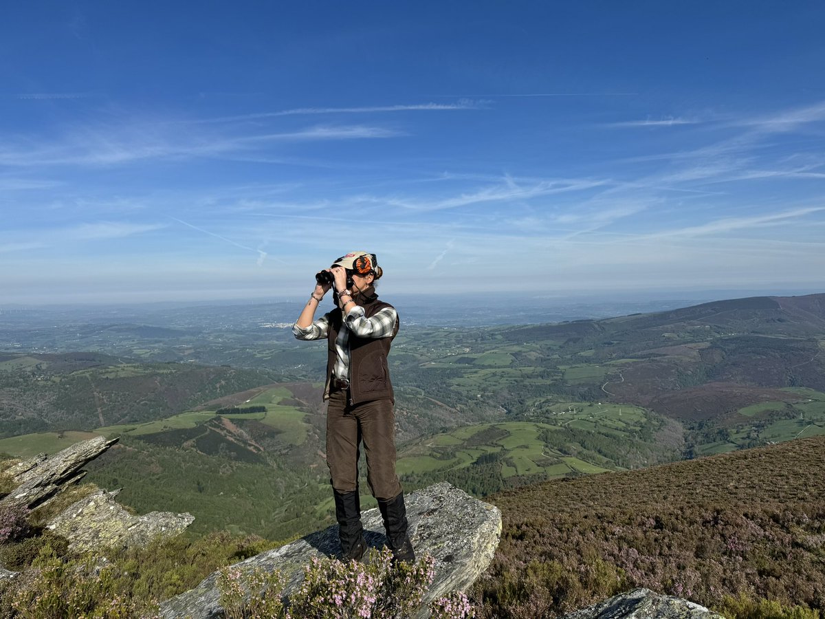🦌💙Necesito volver pronto a este lugar impresionante y con estas vistas espectaculares.
<a href="/ZEISS_Group/">ZEISS Group</a> #normaammo <a href="/excopesa/">Excopesa</a> 
#cazayconservación #nature #lifeofspain #wildboar #ibex #picoftheday #huntingpic #caza #campo #huntinggirl #hunt #hunter #huntress #hunting #buck #stalking
