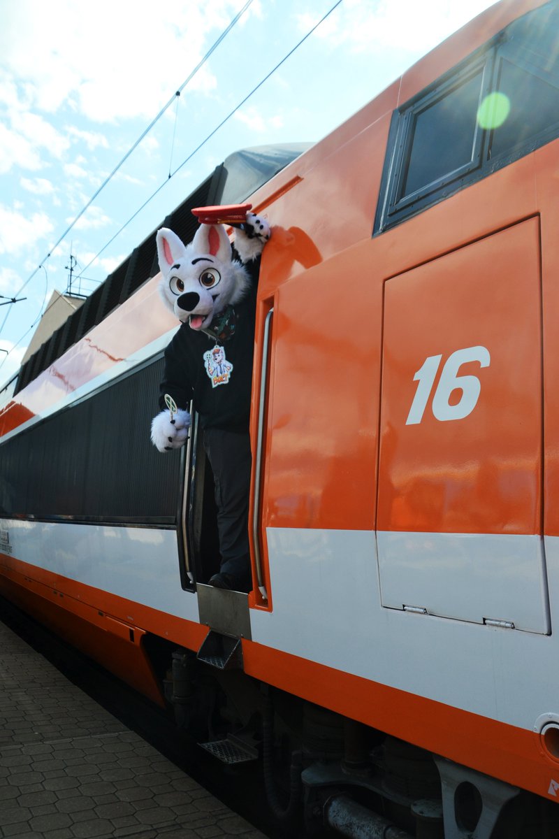 Bolt Railway Dog 🚂 tweet media