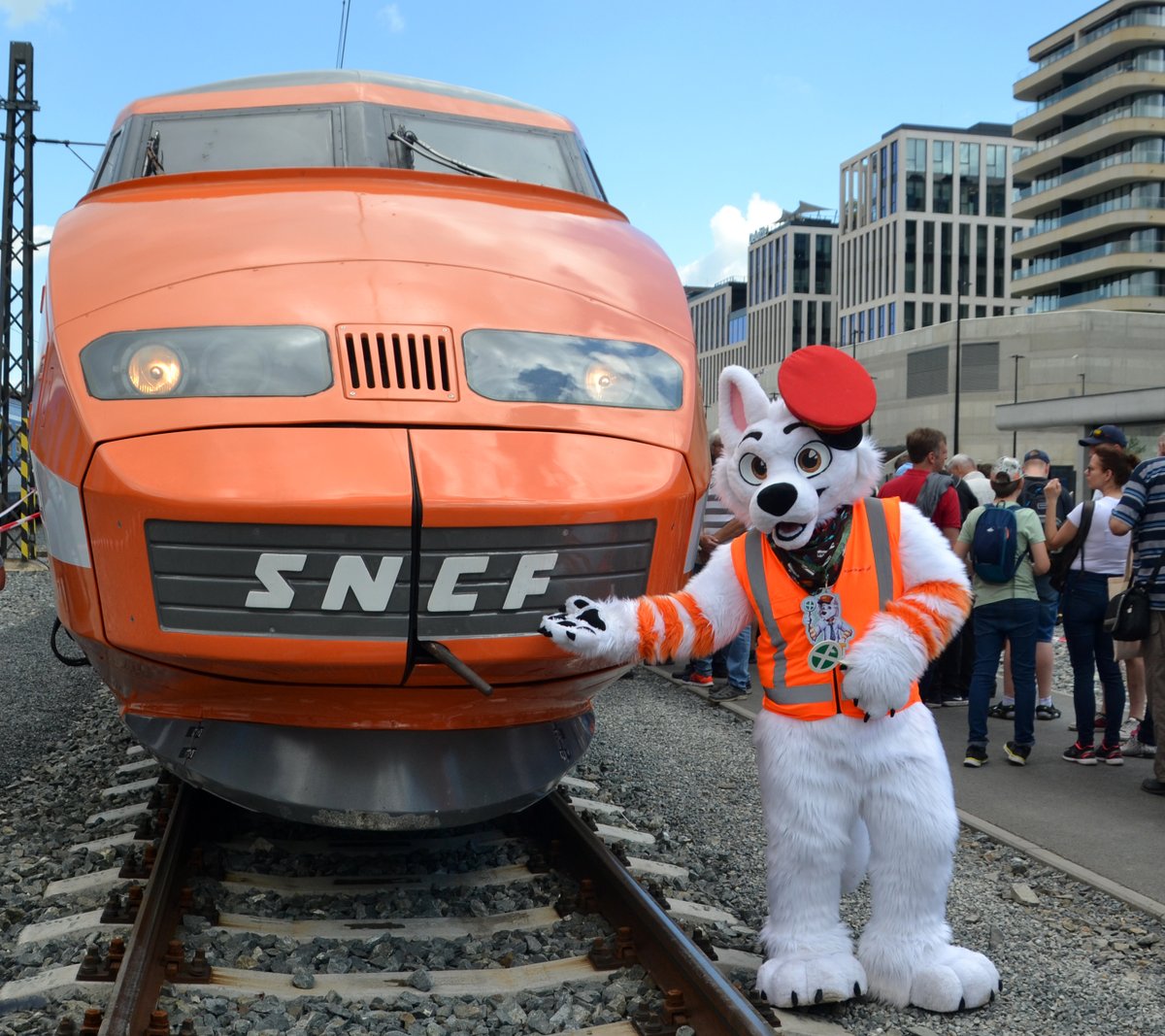 Bolt Railway Dog 🚂 tweet media