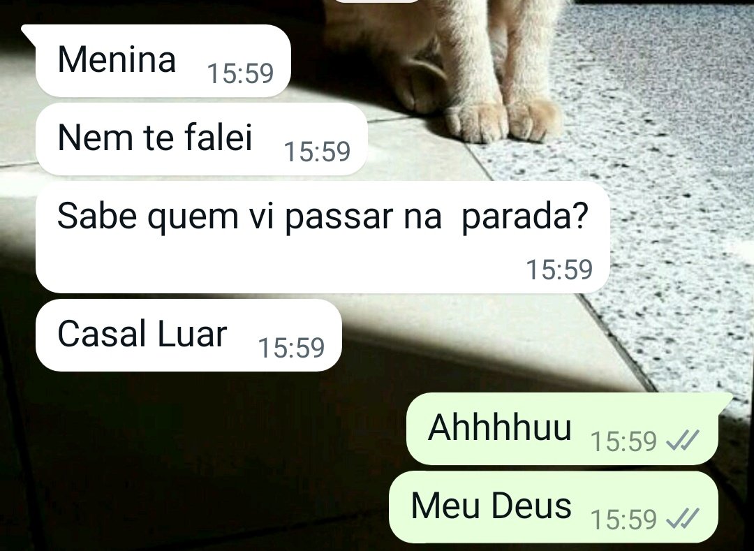 Rafa Bauer tweet media