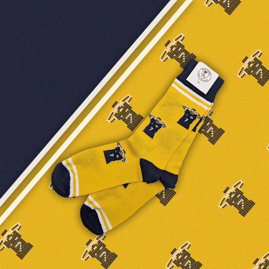 🏴󠁧󠁢󠁳󠁣󠁴󠁿 McGinn Socks available NOW! 

sockcouncil.com/product-tag/sc…

With <a href="/TASA1999/">TA Sunshine Appeal</a> ffor every pair sold we will make a donation to their fundraising efforts for the summer! 

<a href="/wanderer1982/">Clark Gillies 🏴󠁧󠁢󠁳󠁣󠁴󠁿 🇺🇦</a> #SCO #Scotland  #Euro2024