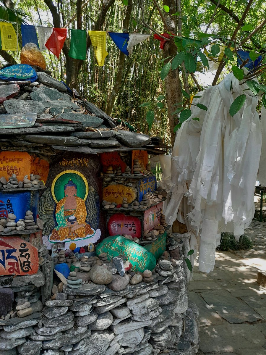 maahiveey's tweet photo. no therapy is better than a trip to the mountains🏞️ (📍dharmshala) https://t.co/TfqlSFiWZV