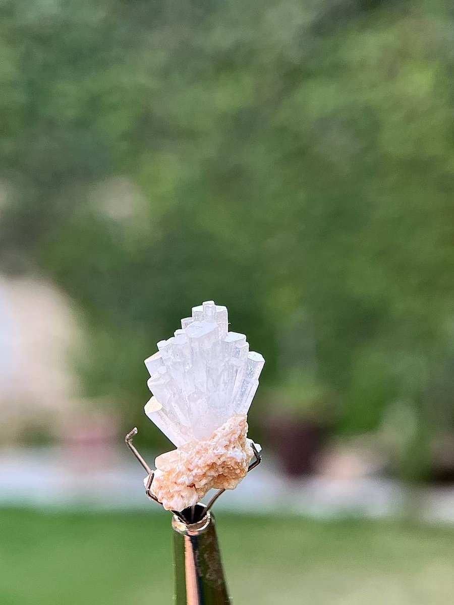 CenterMineral's tweet photo. Add a touch of rare beauty to your collection with these stunning 10-carat Goshenite clusters on matrix from Gilgit-Baltistan, Pakistan. ⁠#gemstone #jewellery #gems #gemstones #goshenite #customcutgemstone #cutgem #gemdesign #jewels #beryl https://t.co/ytRasnMSDG https://t.co/20PeYt0Pal