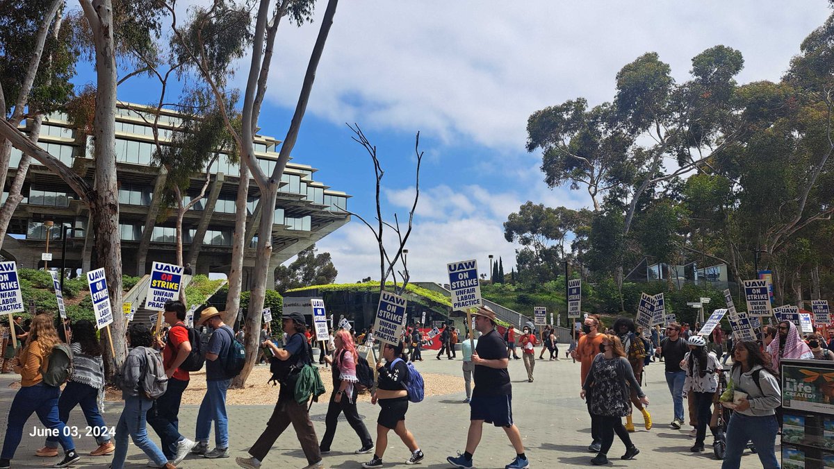 DSA_SanDiego's tweet photo. Day 1 of the @uaw_4811 strike at UCSD. DSA San Diego stands in solidarity with the academic workers who are standing up for their right to free speech. Come out and show your support with us! #StandUpUC https://t.co/0n0NHYUYwg
