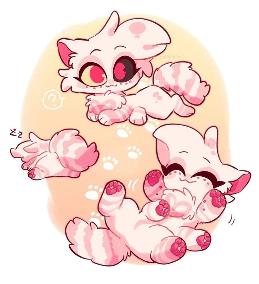 ACrandell2's tweet photo. Sooo cute 😍 https://t.co/hotNiZSBbe