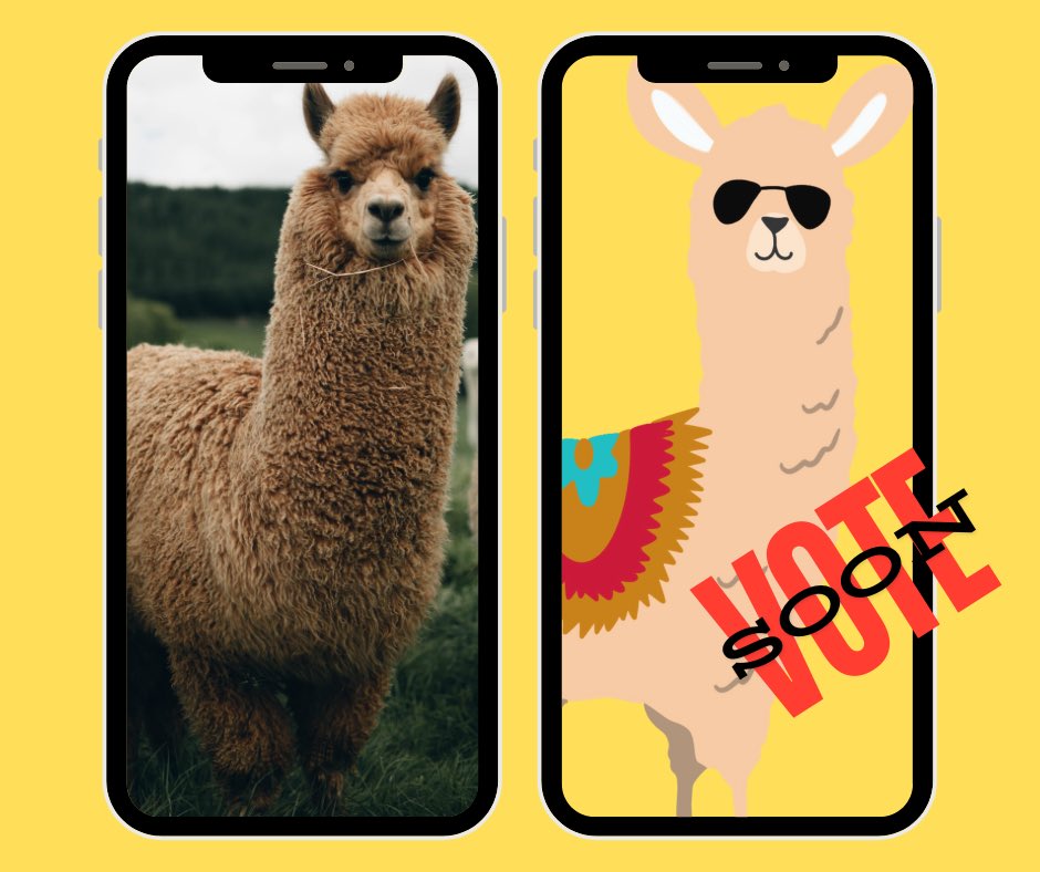 Lamamacoin's tweet photo. Get ready dudes! 🌈🐪🐐🚀🌈
https://t.co/AoHIfigHdN

#LAMAMA #meme #solana #base #2024topmeme #noshitcoin #shib #doge #pepe #bonk #tesla https://t.co/f8UqRg7QOa