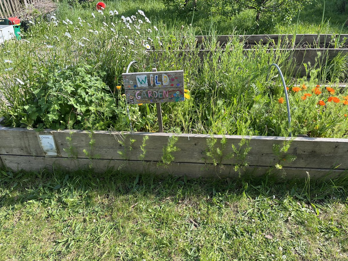 ecoyorkemead's tweet photo. @RHSSchools @YorkeMead this is in our allotment but we also have a few lovely flowerbeds around our school. https://t.co/Jy9avBITYH