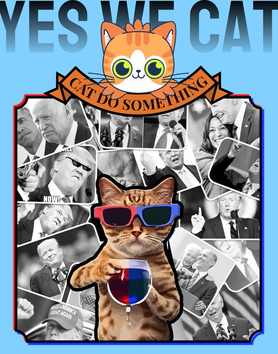 cats do something tweet media