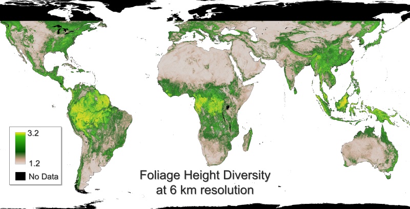 New dataset ➡️ Gridded GEDI Vegetation Structure Metrics and Biomass Density at Multiple Resolutions

Near-global, analysis-ready, multi-res gridded veg structure metrics derived from #GEDI L2 &amp; L4A products associated with 25m diameter lidar footprints!

daac.ornl.gov/cgi-bin/dsview…