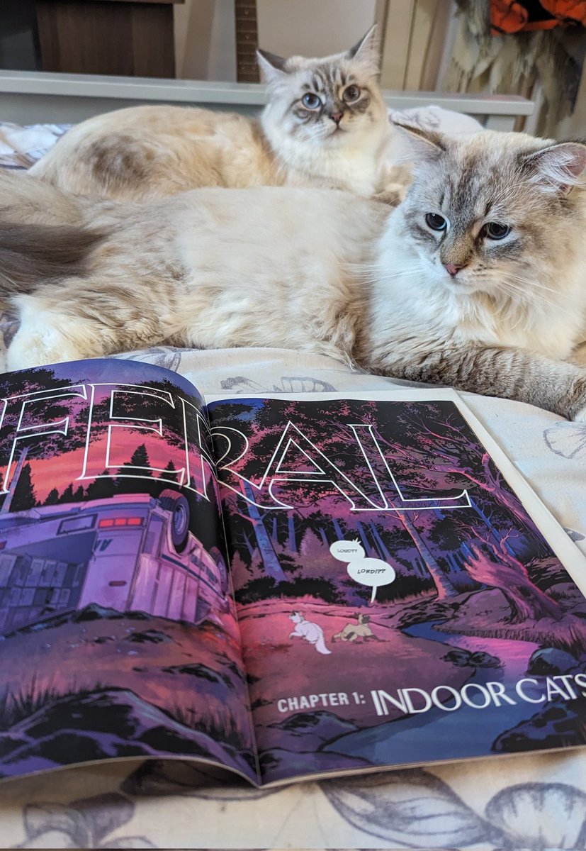 JAG_Writing's tweet image. No better way to spend a Monday evening than indulging with a great story and great company!