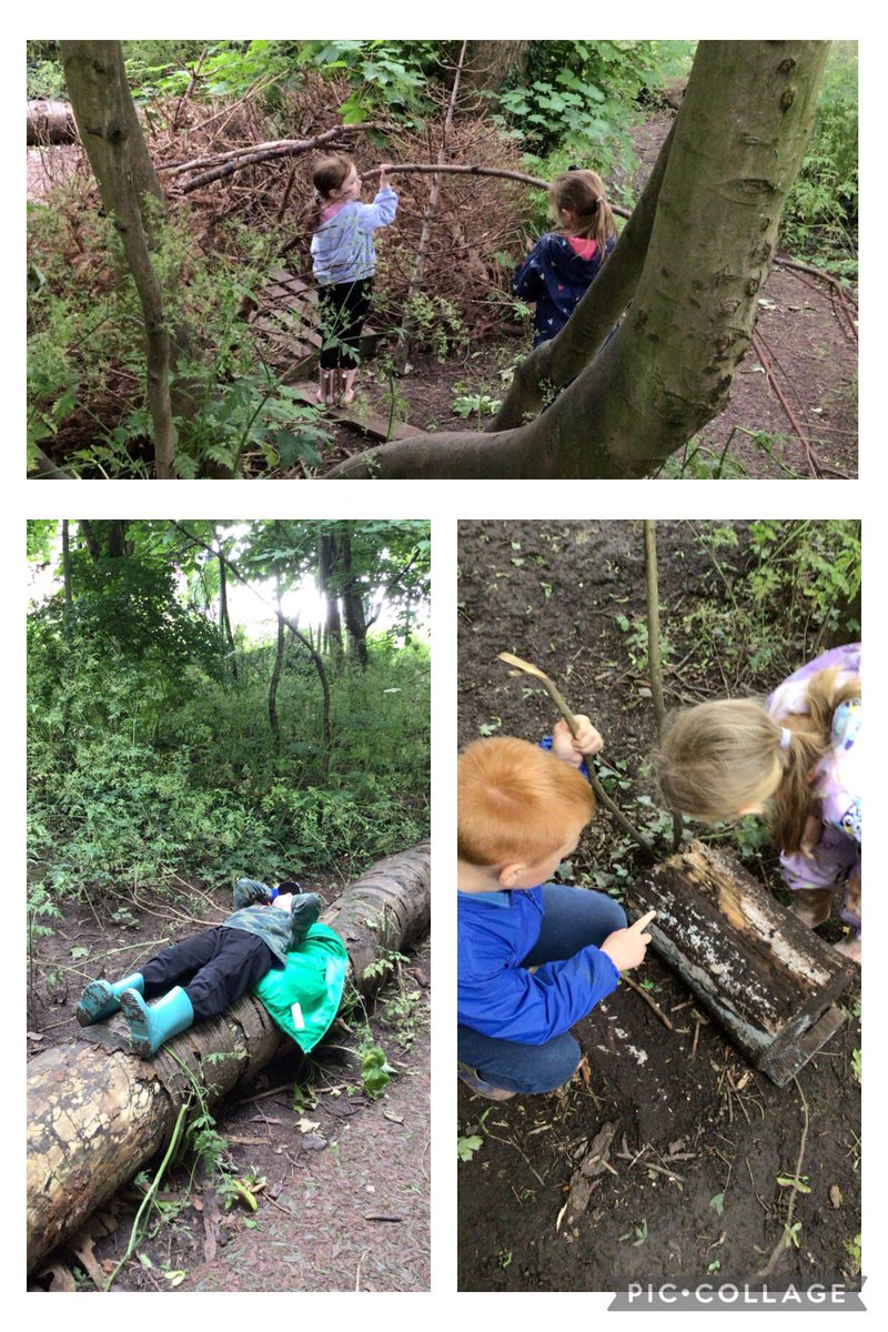 walton_primary's tweet photo. Squirrels have enjoyed their first session back. They have been busy bug hunting, den building and having a look at what shapes the leaf canopy is making. @NatForestCo @WoodlandTrust @Muddyfaces #jtmatwellbeing #elsawellbeing @JohnTaylorMAT https://t.co/u7BYgY78Fl