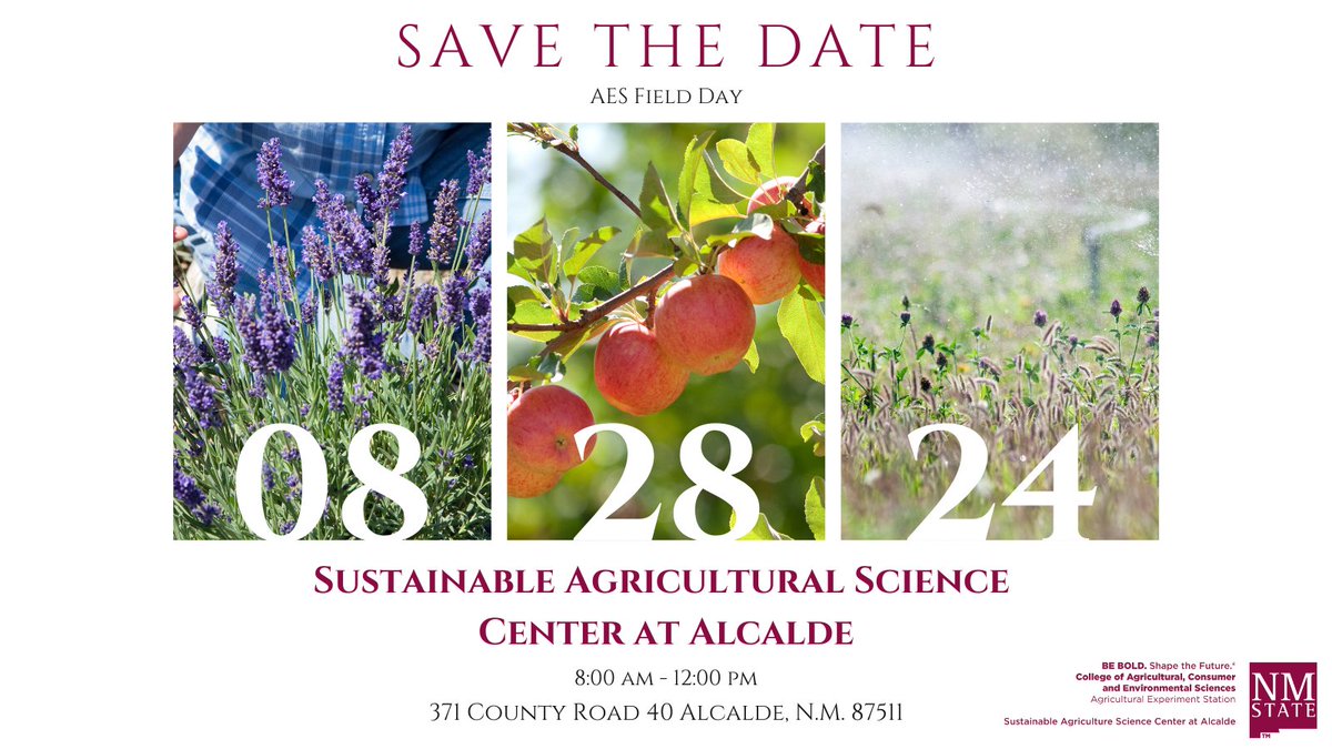 On August 28th starting at 8:00 AM, the Sustainable Agricultural Science Center at Alcalde will host their 2024 Field Day. Join us to learn about the ongoing research happening at the Center. Event details to follow. #AES #GoAggies #fieldday #agriculturelife #nmsu