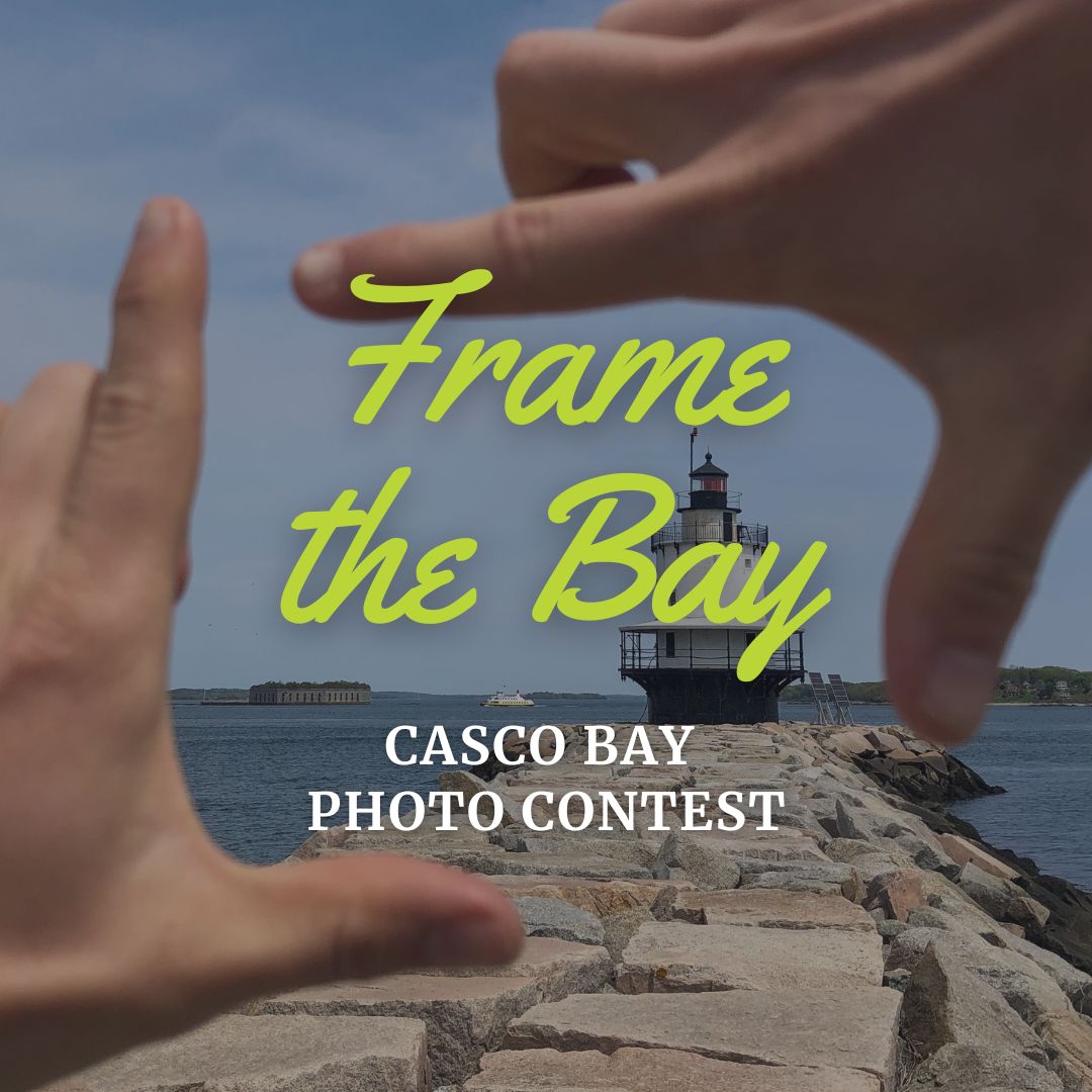 Do you take photos of Casco Bay and the watershed? We want to see them! Winners in four photo categories – scenic, wildlife, diversity of the Bay, and student photography – will be announced at our Members Annual Meeting on July 25. 
Submission Details: cascobay.org/frame-the-bay/