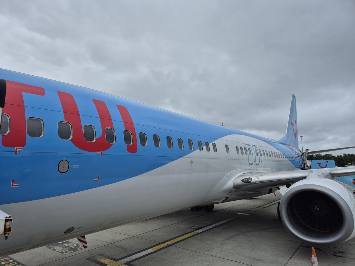 Danielle tweet media