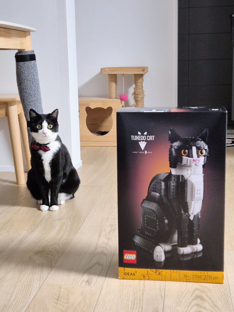 주인님 그놈은 가짜예요