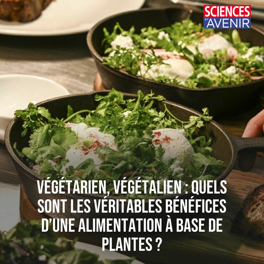 Végétarien, végétalien : quels sont les véritables bénéfices d’une alimentation à base de plantes ? 👉 l.sciencesetavenir.fr/1s5