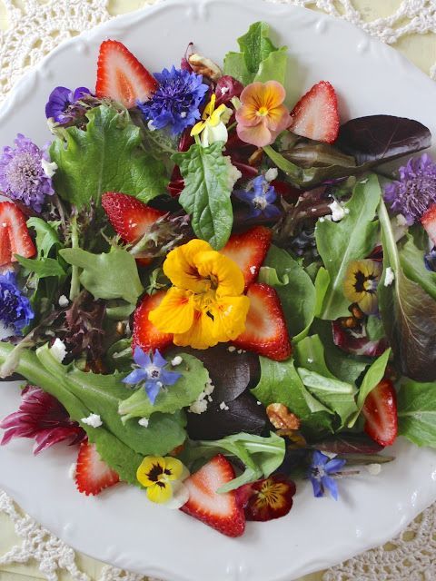 FlowerChick826's tweet photo. Did you know?  A lot of pretty flowers are also edible! Check out my favorites in my new post "15 Edible Flowers To Grow"  https://t.co/lcaig5hrbE via @FlowerChick826 https://t.co/EGf4z0wSgM