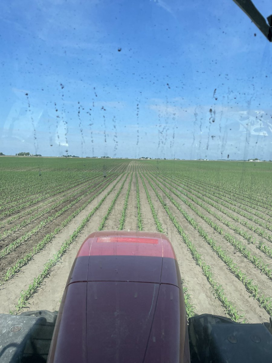 Storm5farms's tweet photo. Four-eyes mode engaged. Welding contact lenses to my eyeballs doesn’t sound like fun. #safety3rd https://t.co/yRWA7uoUX3