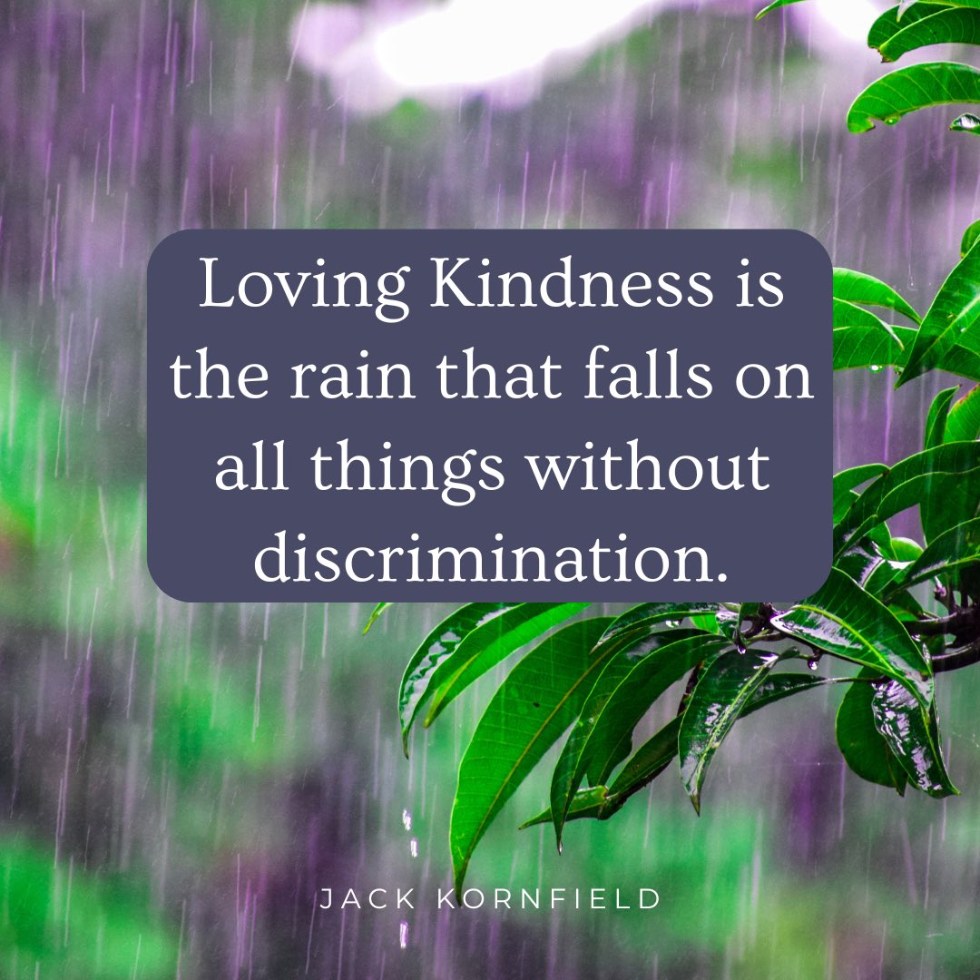 Loving Kindness is the rain that falls on all things without discrimination. 💦🌱🌷

#lovingkindness #metta #lovingawareness #jackkornfield #spirituality #mindfulness #buddhism #love #compassion #understanding #yoga #yogi #mindful #meditation