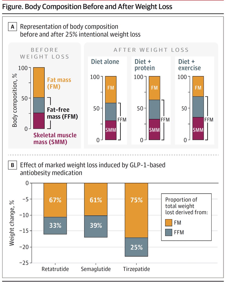 "The recent concern that marked weight loss induced by GLP-1–based anti-obesity medications can cause physical frailty or sarcopenia is not supported by data."
<a href="/CatConte_MD/">Caterina Conte</a> <a href="/KevinH_PhD/">Kevin Hall</a>
 <a href="/JAMA_current/">JAMA</a> 
jamanetwork.com/journals/jama/…