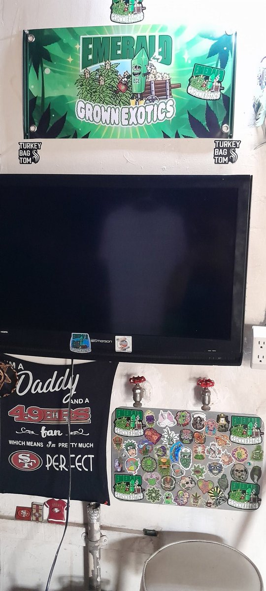 YoungGotti49er's tweet photo. Wall done for now #StonerFam have a great day #EGE #StayLit 🔥💚🤙💯 https://t.co/E6y4s5yZWM