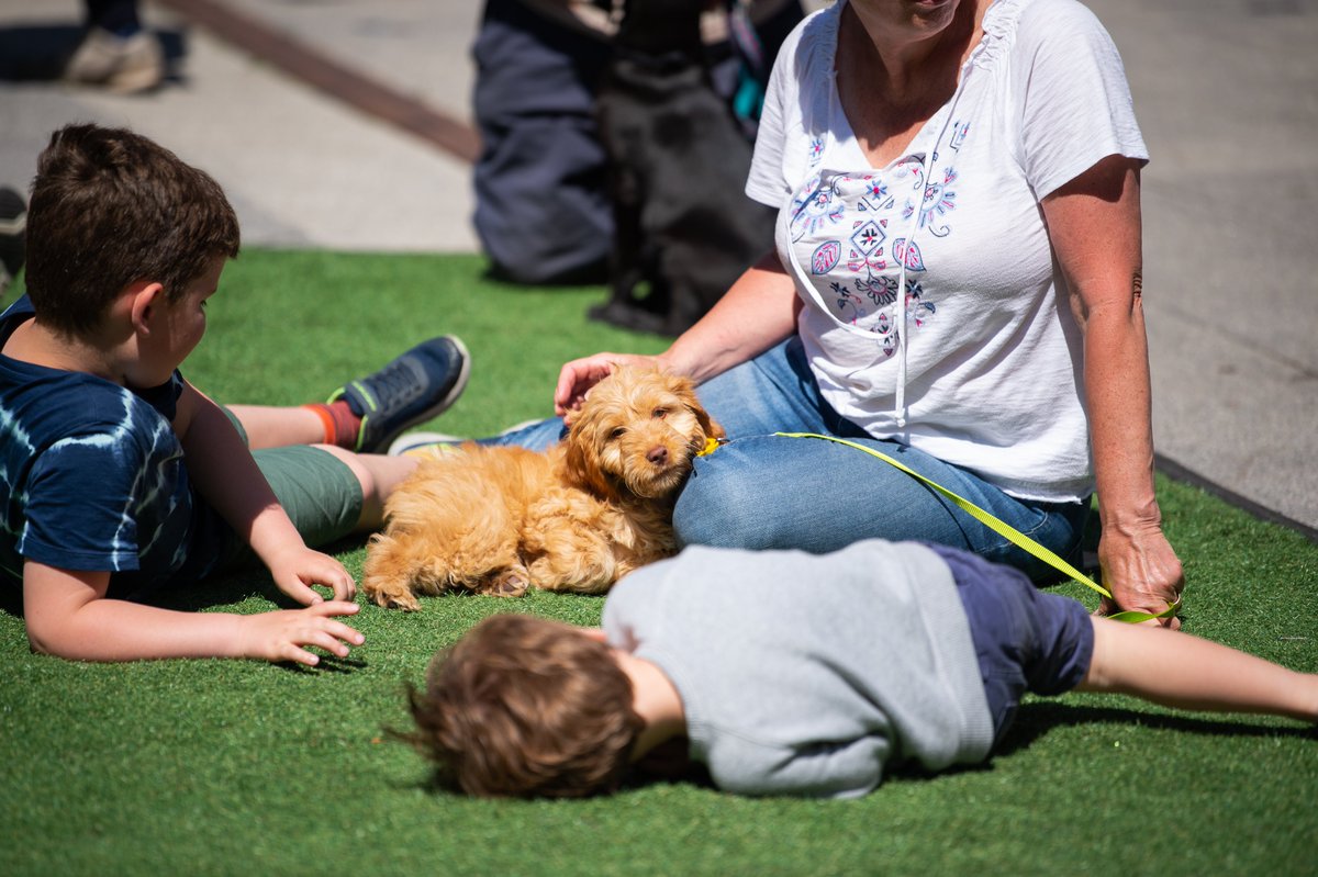 Joy for Pups, Pooches and Dog Lovers as Sanderson Barkade Returns 🐾
sandersonarcade.co.uk/news/joy-for-p…