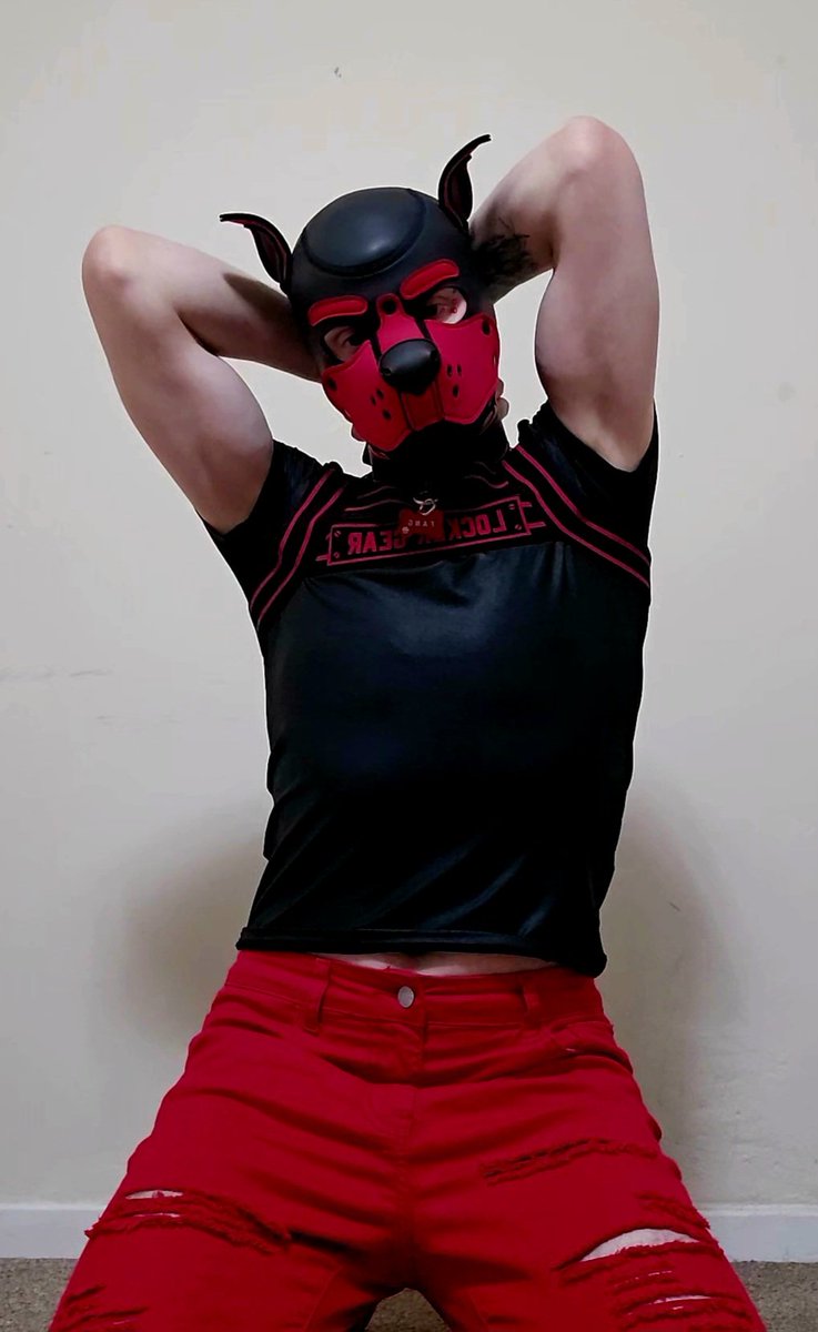 Fang (@fang4training) on Twitter photo 