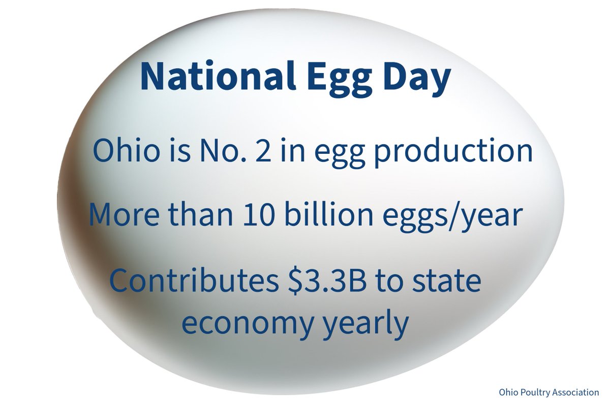 ohioagriculture's tweet photo. Egg-cited about eggs! 

It may feel like National Egg Day every day in a lot of Ohio kitchens, but a day dedicated to eggs is just what we need! 

Thank you to our producers who work tirelessly to bring us this delicious and nutritious food. https://t.co/7FLtdfoEIV