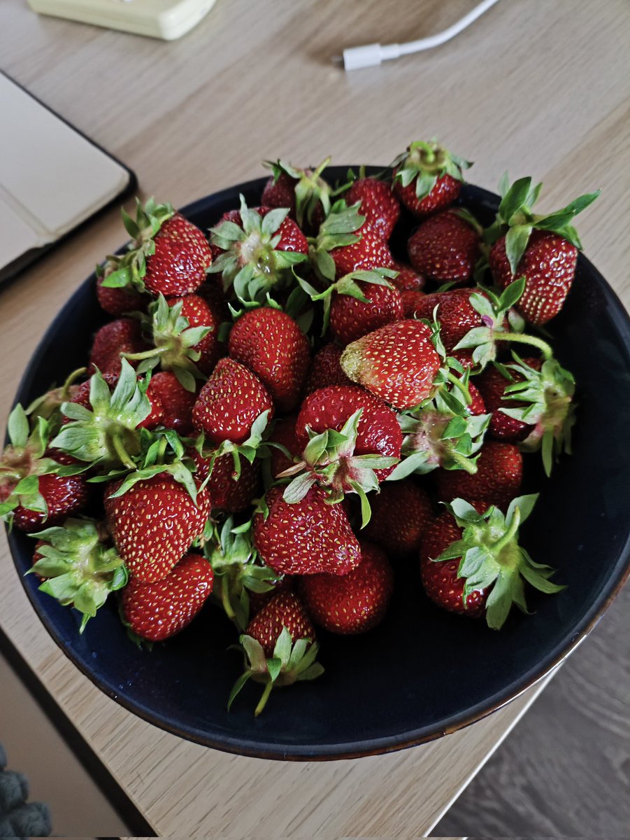 Сезон открыт 🤤