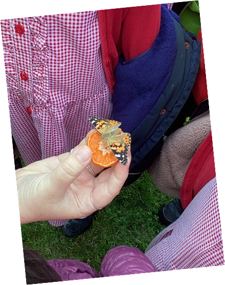 Belle Vue Primary & Nursery School tweet media