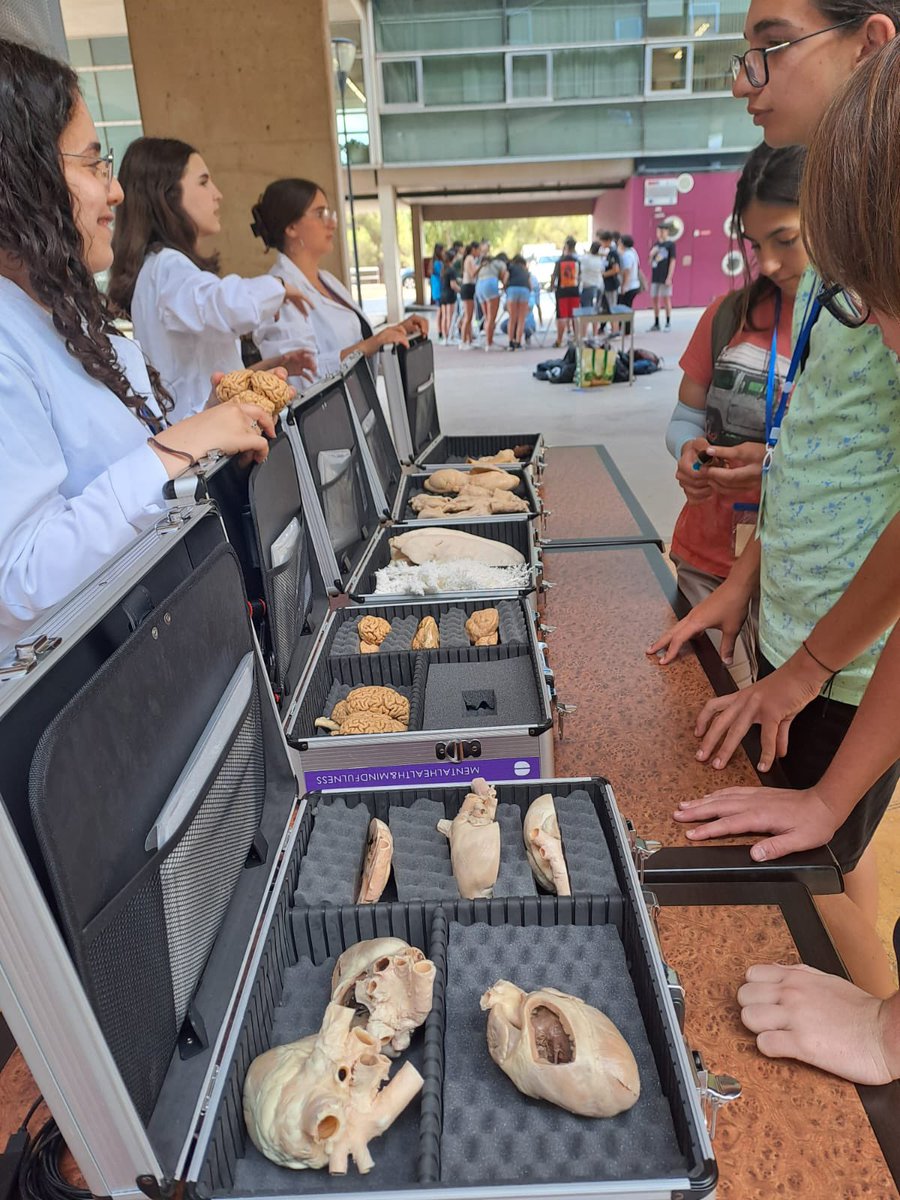 ProgramasRM's tweet photo. ➡️ III Jornadas del Programa Educativo GD Patrimonio @GdPatrimonio con la participación de 700 estudiantes 🚸 de 20 centros educativos 🏫 de Educación Primaria y Secundaria y con 30 talleres de elaboración de materiales ✍🏻 sobre el patrimonio de la Región de Murcia @Educarm https://t.co/hG3earR1M0