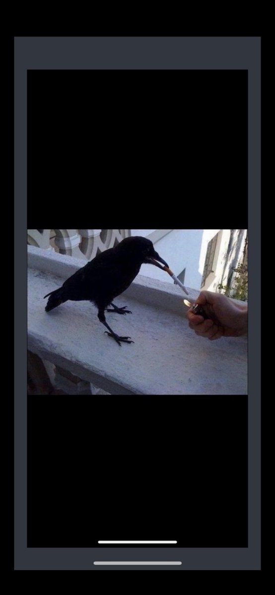 Could hear a pin drop on Twitter this weekend 👂👂👂