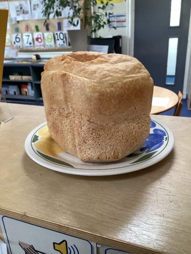 Belle Vue Primary & Nursery School tweet media