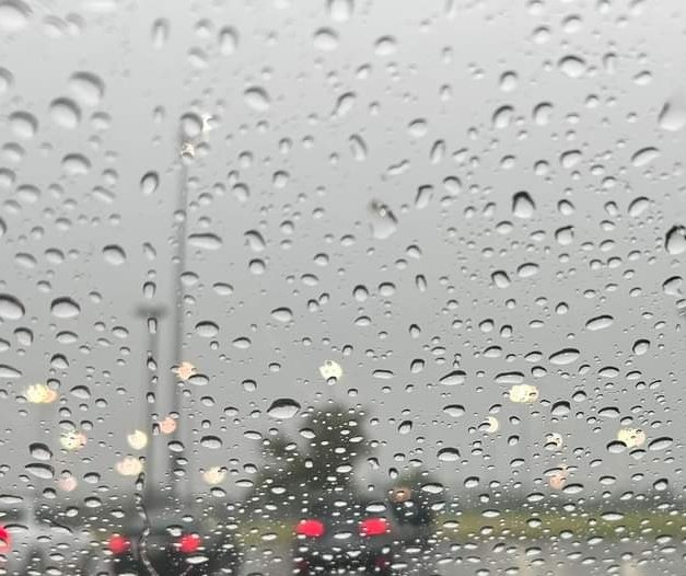 BeatdownCaudle's tweet photo. Championship Monday! Bracket game 1 tied game and then the weather won again. The girls came to play this weekend and made a lot of noise against some very talented competition. Good outing, minus the weather. #beatdown #roadtotheshow #champion #rainydays https://t.co/ZtlRpdoMAe
