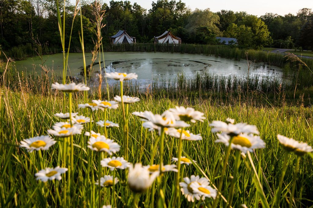 “In early June the world of leaf and blade and flowers explodes, and every sunset is different.” – John Steinbeck 

Photo / ginnyrosestew