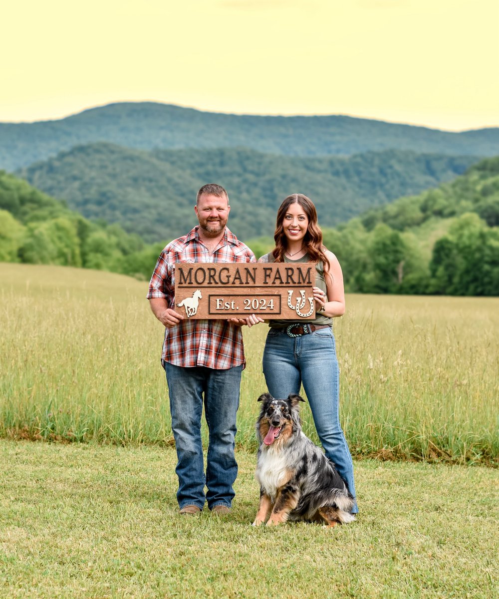 Everything I could ever want in life 💕 My dreams of owning my own farm + horses is finally coming true 🫶🏼